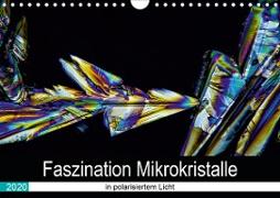 Faszination Mikrokristalle in polarisiertem Licht (Wandkalender 2020 DIN A4 quer)