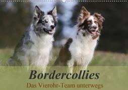Bordercollies - Das Vierohr-Team unterwegs (Wandkalender 2020 DIN A2 quer)