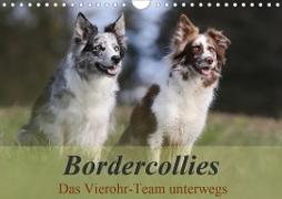 Bordercollies - Das Vierohr-Team unterwegs (Wandkalender 2020 DIN A4 quer)