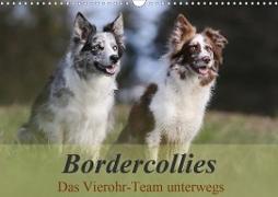 Bordercollies - Das Vierohr-Team unterwegs (Wandkalender 2020 DIN A3 quer)