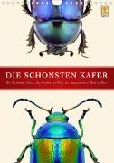 Die schönsten Käfer (Wandkalender 2020 DIN A4 hoch)