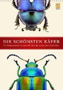 Die schönsten Käfer (Wandkalender 2020 DIN A3 hoch)