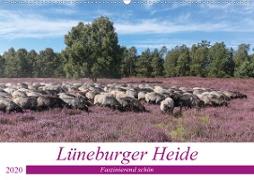 Lüneburger Heide - Faszinierend schön (Wandkalender 2020 DIN A2 quer)