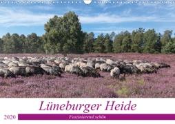 Lüneburger Heide - Faszinierend schön (Wandkalender 2020 DIN A3 quer)
