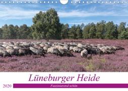 Lüneburger Heide - Faszinierend schön (Wandkalender 2020 DIN A4 quer)