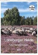 Lüneburger Heide - Faszinierend schön (Wandkalender 2020 DIN A2 hoch)