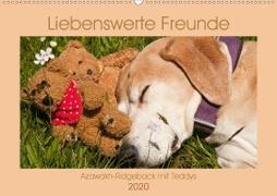 Liebenswerte Freunde - Azawakh-Ridgeback mit Teddys (Wandkalender 2020 DIN A2 quer)