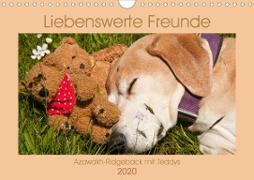 Liebenswerte Freunde - Azawakh-Ridgeback mit Teddys (Wandkalender 2020 DIN A4 quer)