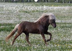 Islandpferdehof Buchenthal (Wandkalender 2020 DIN A3 quer)