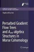 Perturbed Gradient Flow Trees and A¿-algebra Structures in Morse Cohomology