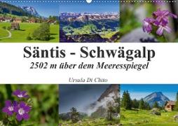 Säntis - Schwägalp (Wandkalender 2020 DIN A2 quer)