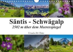 Säntis - Schwägalp (Wandkalender 2020 DIN A4 quer)