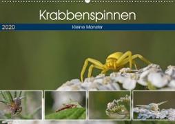 Krabbenspinnen - Kleine Monster (Wandkalender 2020 DIN A2 quer)