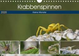 Krabbenspinnen - Kleine Monster (Wandkalender 2020 DIN A4 quer)