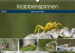 Krabbenspinnen - Kleine Monster (Wandkalender 2020 DIN A3 quer)