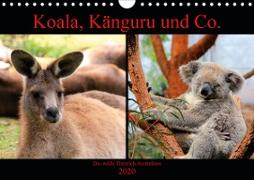 Koala, Känguru und Co. - Das wilde Tierreich Australiens (Wandkalender 2020 DIN A4 quer)