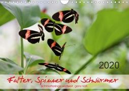 Falter, Spinner und Schwärmer (Wandkalender 2020 DIN A4 quer)