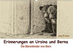 Erinnerungen an Ursina und Berna. Die Bärenkinder von Bern. Alte Fotos (Wandkalender 2020 DIN A2 quer)