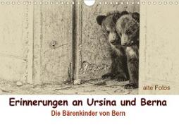 Erinnerungen an Ursina und Berna. Die Bärenkinder von Bern. Alte Fotos (Wandkalender 2020 DIN A4 quer)