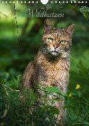 Wildkatzen - scheue Jäger (Wandkalender 2020 DIN A4 hoch)