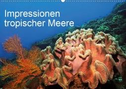 Impressionen tropischer Meere (Wandkalender 2020 DIN A2 quer)