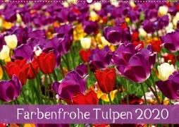 Farbenfrohe Tulpen 2020 (Wandkalender 2020 DIN A2 quer)