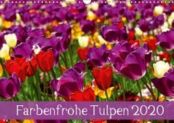 Farbenfrohe Tulpen 2020 (Wandkalender 2020 DIN A3 quer)