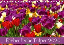 Farbenfrohe Tulpen 2020 (Tischkalender 2020 DIN A5 quer)