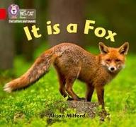 It is a Fox