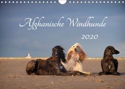 AFGHANISCHE WINDHUNDE 2020 (Wandkalender 2020 DIN A4 quer)