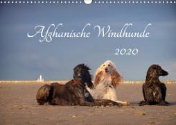 AFGHANISCHE WINDHUNDE 2020 (Wandkalender 2020 DIN A3 quer)