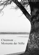 Chiemsee ... Momente der Stille (Wandkalender 2020 DIN A4 hoch)