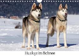 Huskys im Schnee (Wandkalender 2020 DIN A4 quer)