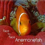 Anemonefish - face to face (Wall Calendar 2020 300 × 300 mm Square)