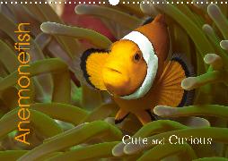 Anemonefish (Wall Calendar 2020 DIN A3 Landscape)