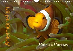 Anemonefish (Wall Calendar 2020 DIN A4 Landscape)