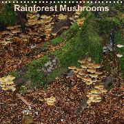 Rainforest Mushrooms (Wall Calendar 2020 300 × 300 mm Square)