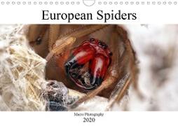 European Spiders (Wall Calendar 2020 DIN A4 Landscape)