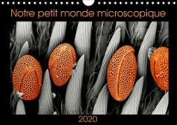 Notre petit monde microscopique (Calendrier mural 2020 DIN A4 horizontal)