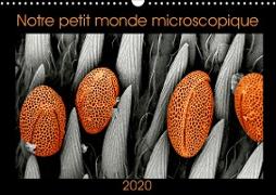 Notre petit monde microscopique (Calendrier mural 2020 DIN A3 horizontal)