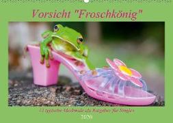 Vorsicht: Froschkönig (Wandkalender 2020 DIN A2 quer)