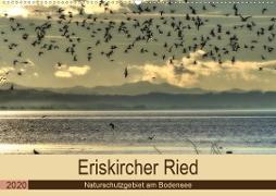 Eriskircher Ried - Naturschutzgebiet am Bodensee (Wandkalender 2020 DIN A2 quer)