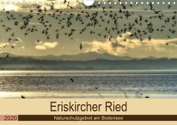 Eriskircher Ried - Naturschutzgebiet am Bodensee (Wandkalender 2020 DIN A4 quer)