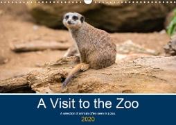 A Visit to the Zoo (Wall Calendar 2020 DIN A3 Landscape)