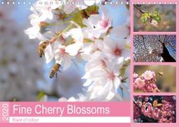 Fine Cherry Blossoms (Wall Calendar 2020 DIN A4 Landscape)