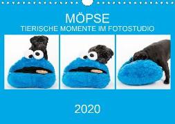 MÖPSE - tierische Momente im Fotostudio (Wandkalender 2020 DIN A4 quer)