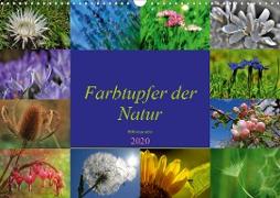 Farbtupfer der Natur - Blütenpracht (Wandkalender 2020 DIN A3 quer)