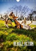 Beagle Action - Wilde Kuscheltiere (Wandkalender 2020 DIN A4 hoch)