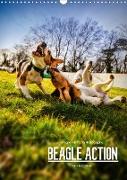 Beagle Action - Wilde Kuscheltiere (Wandkalender 2020 DIN A3 hoch)
