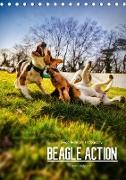 Beagle Action - Wilde Kuscheltiere (Tischkalender 2020 DIN A5 hoch)